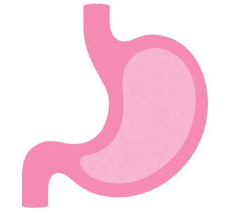 Zero High Hemp Seed Oil Gastrointestinal Benefits