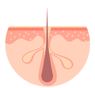 Zero High Hemp Seed Oil Skin, Hair, and Nails Benefits